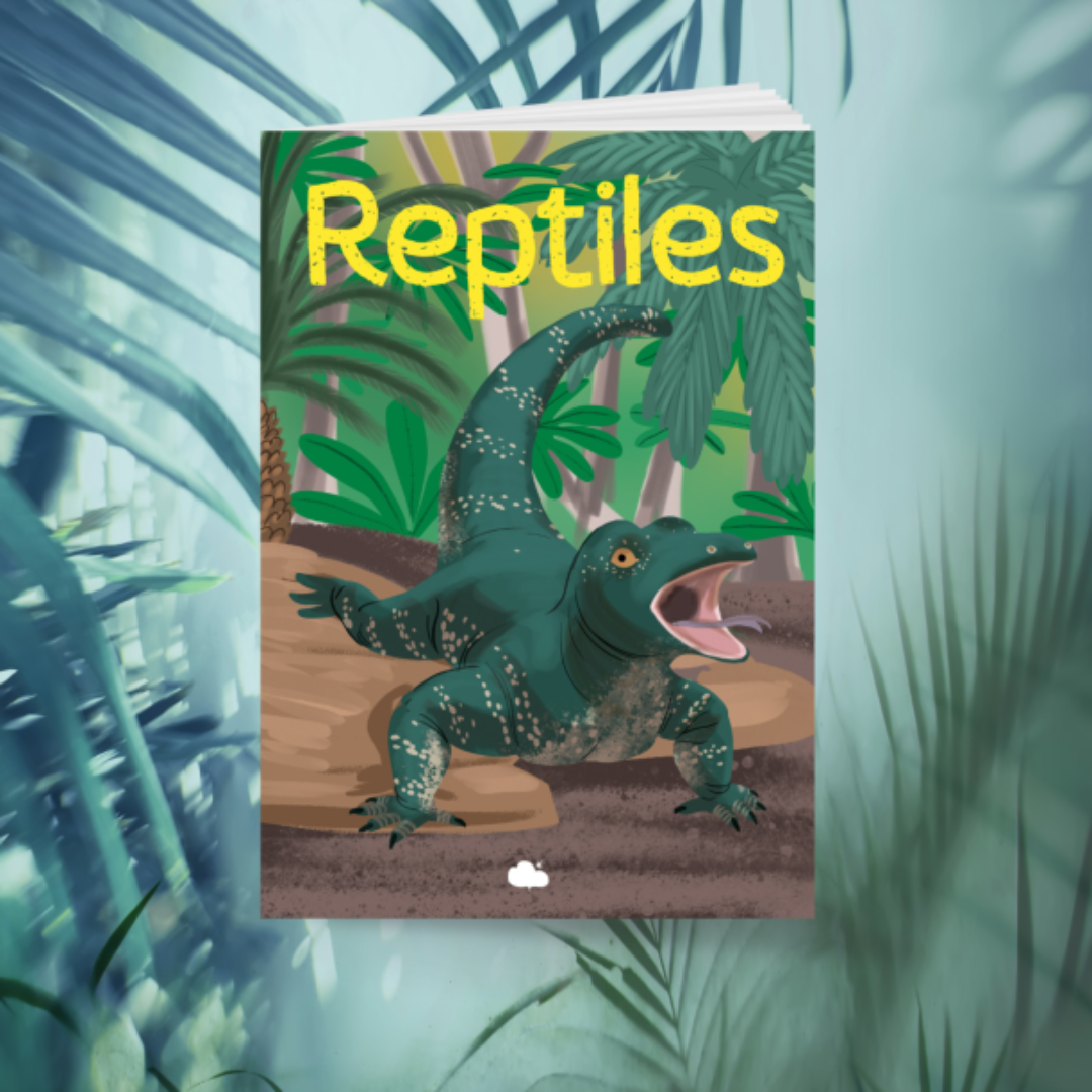 Kit DIY | Les reptiles