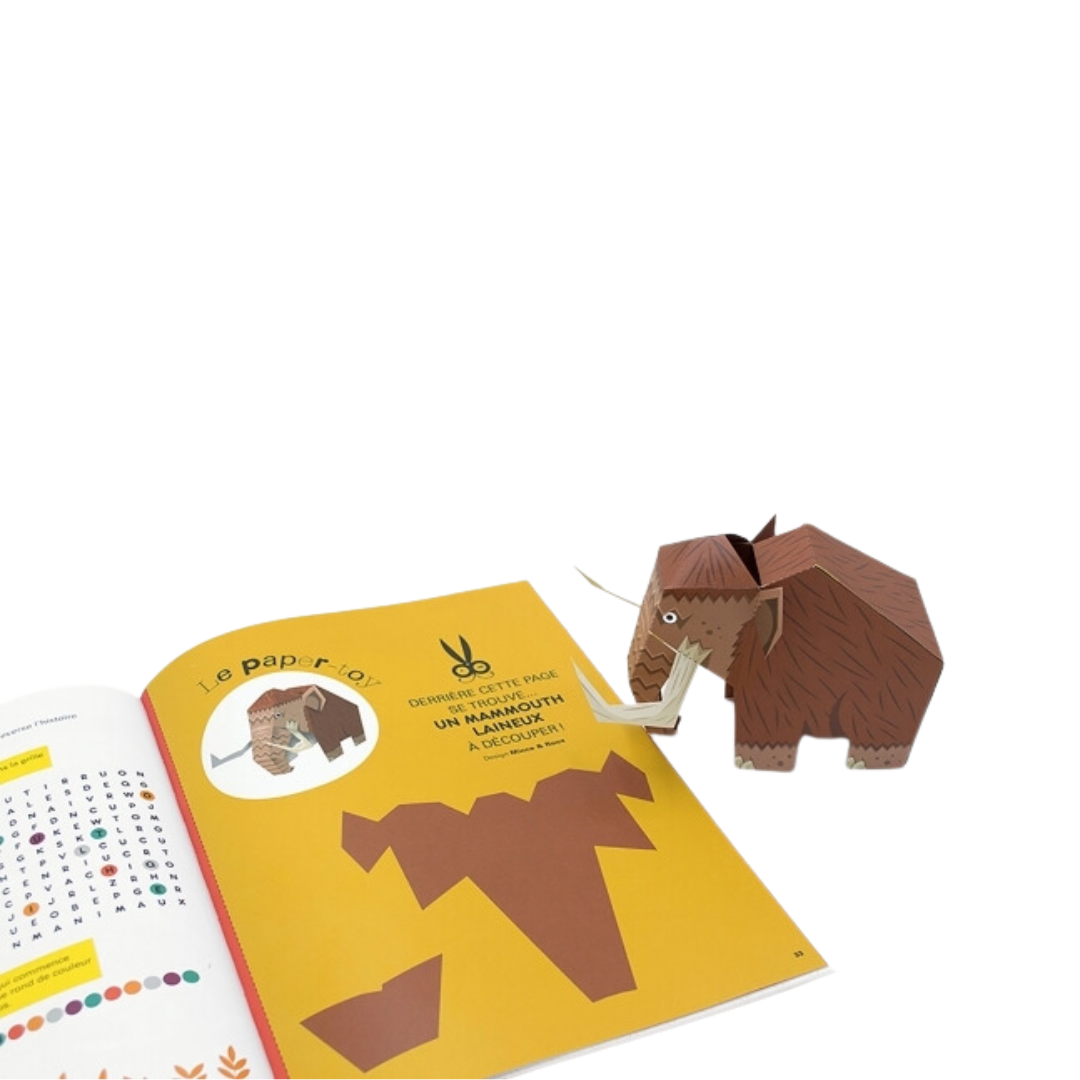 Magazine Georges | Coffret 4 magazines - Histoire