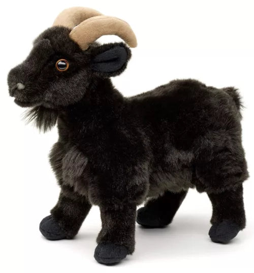 Peluche | Chèvre noire