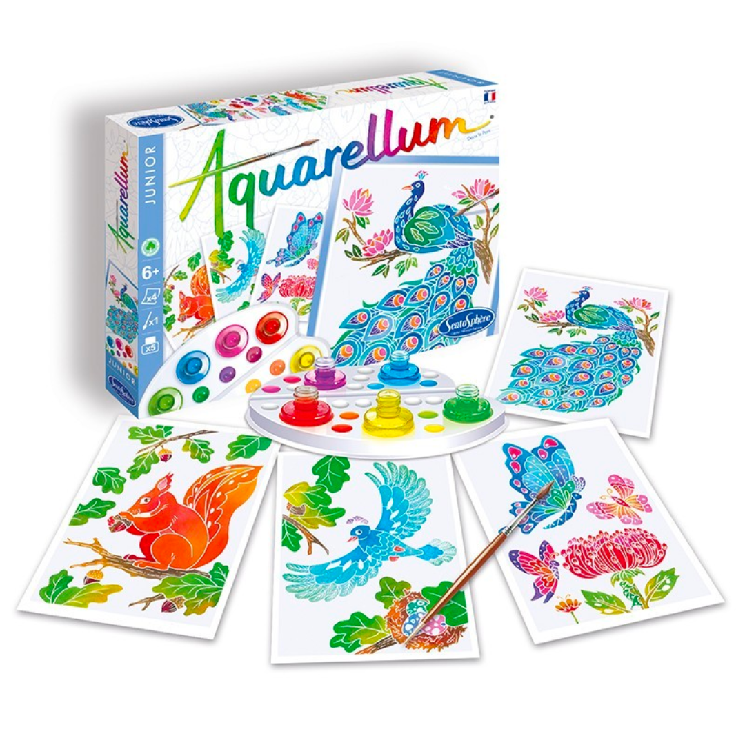 Aquarellum junior | Dans le parc-Sentosphère-Super Châtaigne-Création & Fabrication : Product type