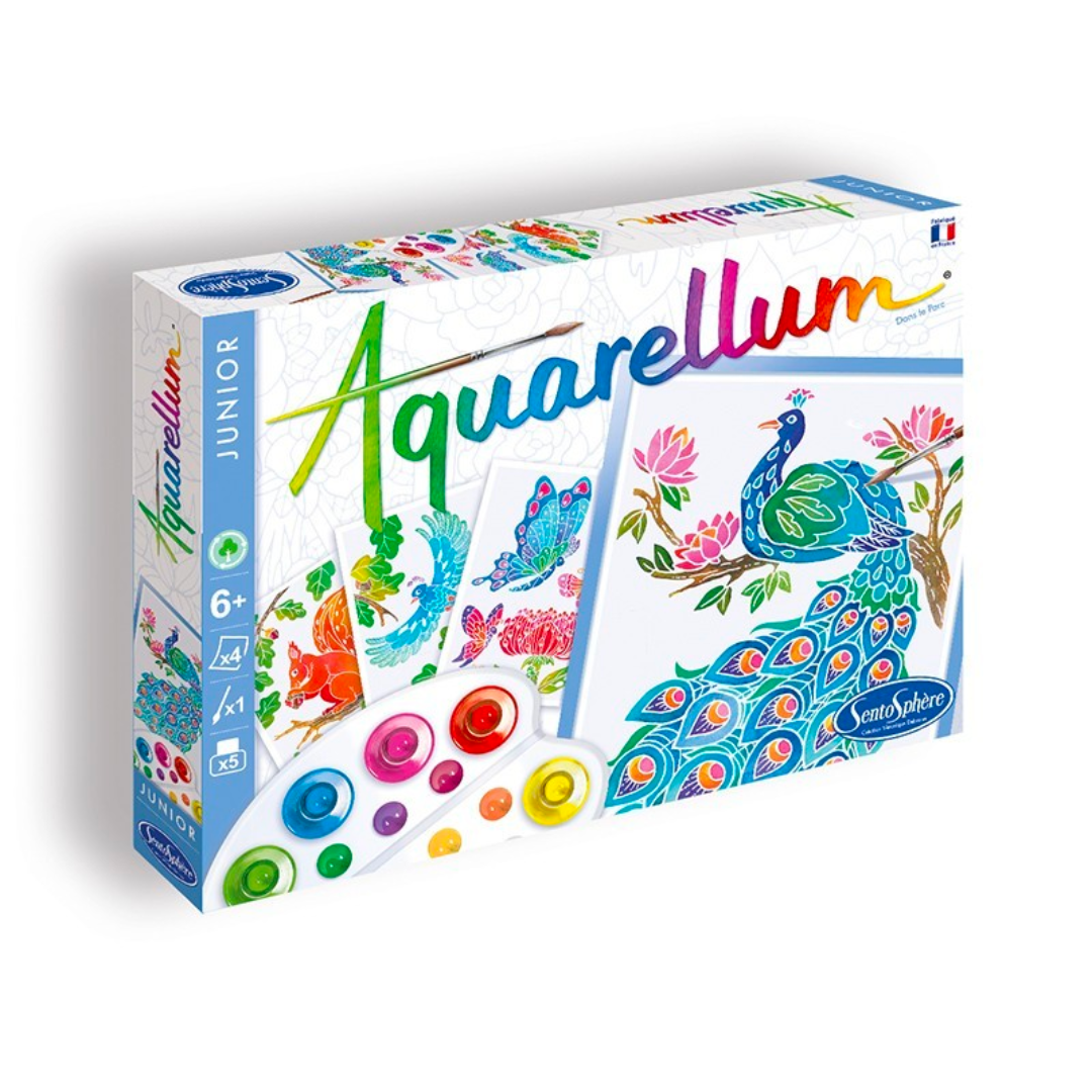 Aquarellum junior | Dans le parc-Sentosphère-Super Châtaigne-Création & Fabrication : Product type