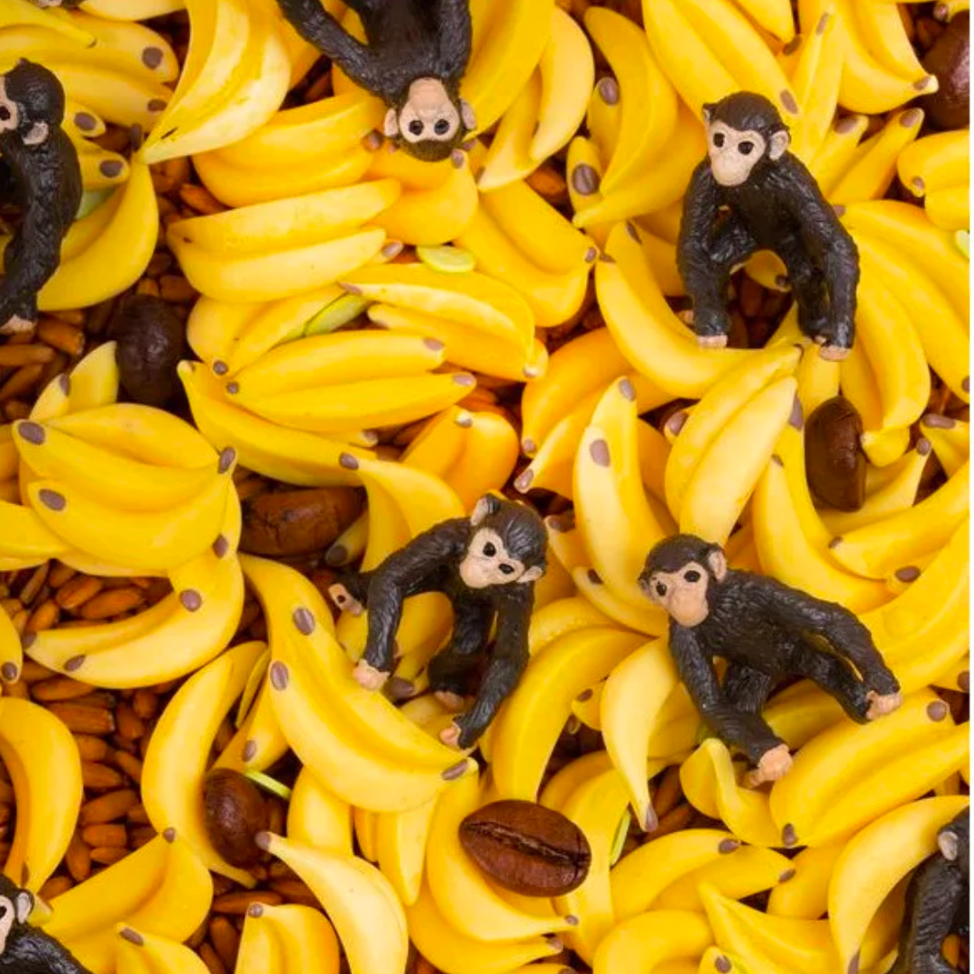 Bouteille sensorielle | Singe-Petit boum-Super Châtaigne-Eveil & Motricité : Product type