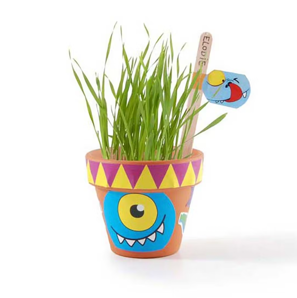 Coffret anniversaire - 10 petits pots monstres-Radis et capucine-Super Châtaigne-Cuisine et Jardinage : Product type