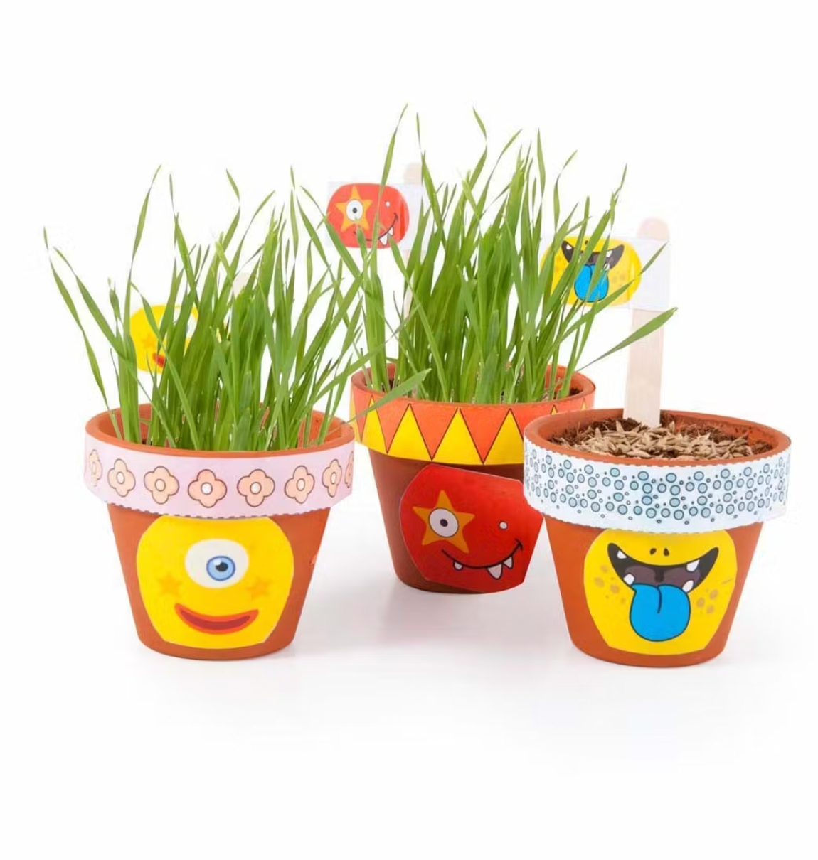 Coffret anniversaire - 10 petits pots monstres-Radis et capucine-Super Châtaigne-Cuisine et Jardinage : Product type