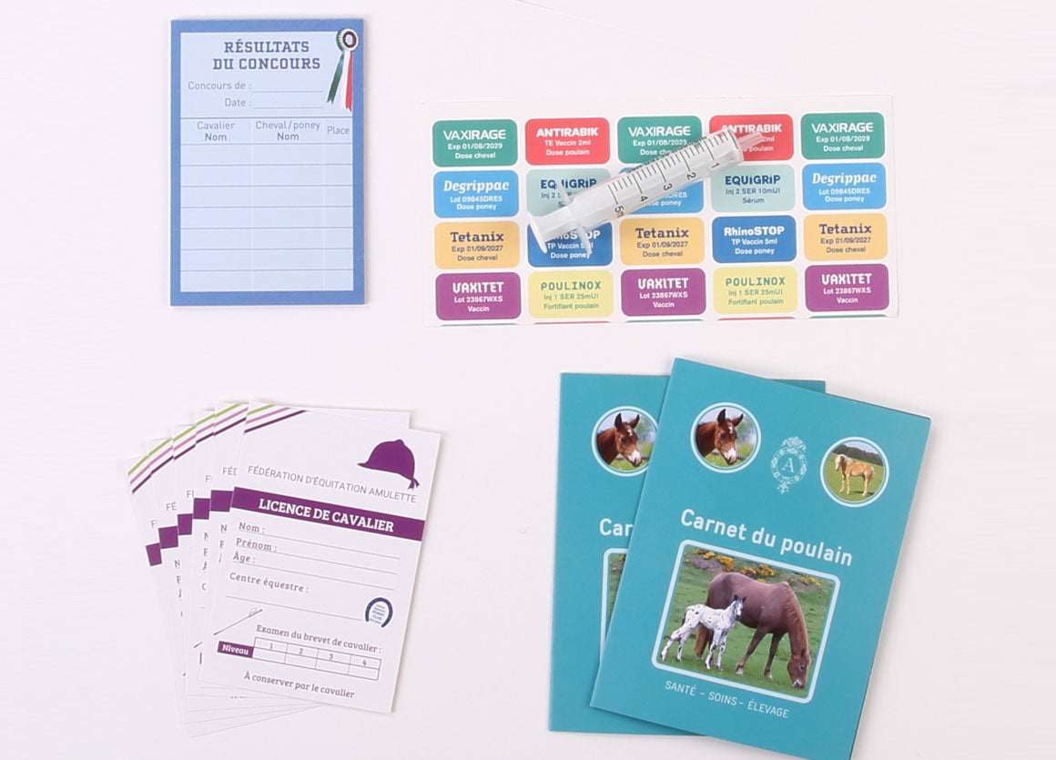 Coffret - Mon premier poney Club-Amulette-Super Châtaigne-Imitation : Product type