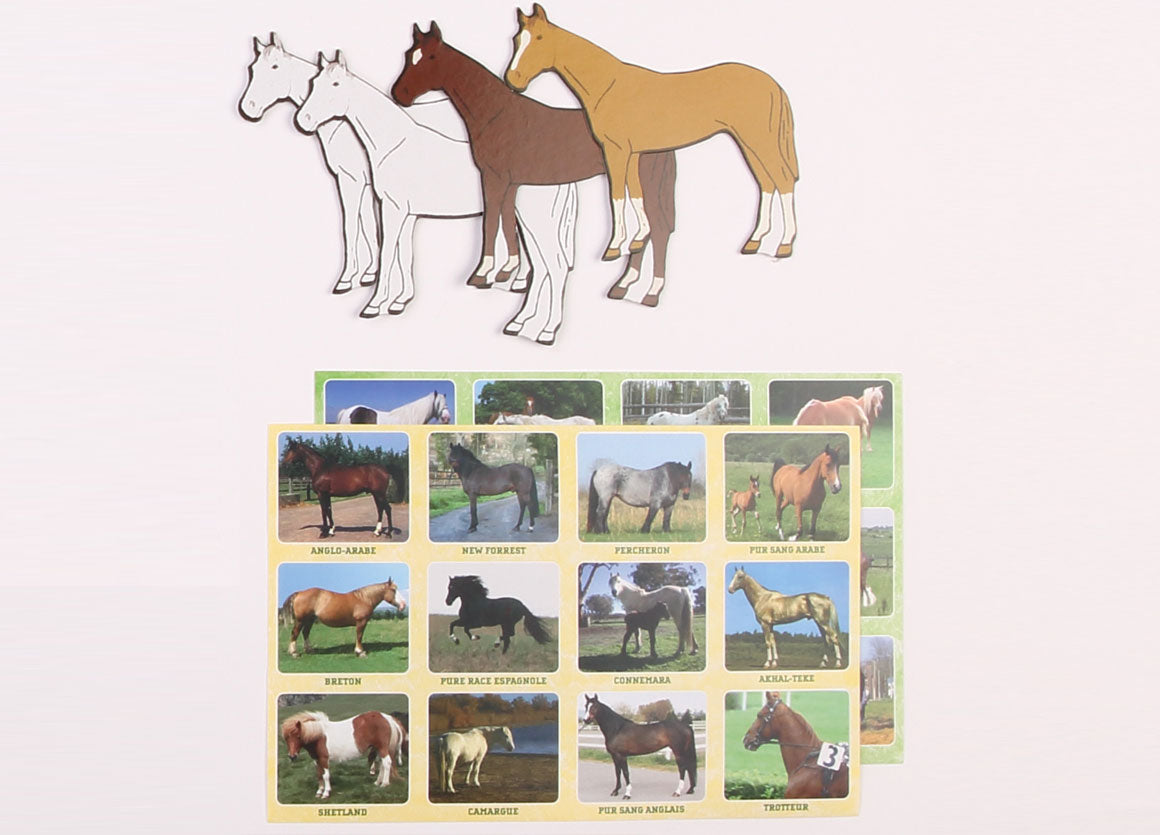 Coffret - Mon premier poney Club-Amulette-Super Châtaigne-Imitation : Product type