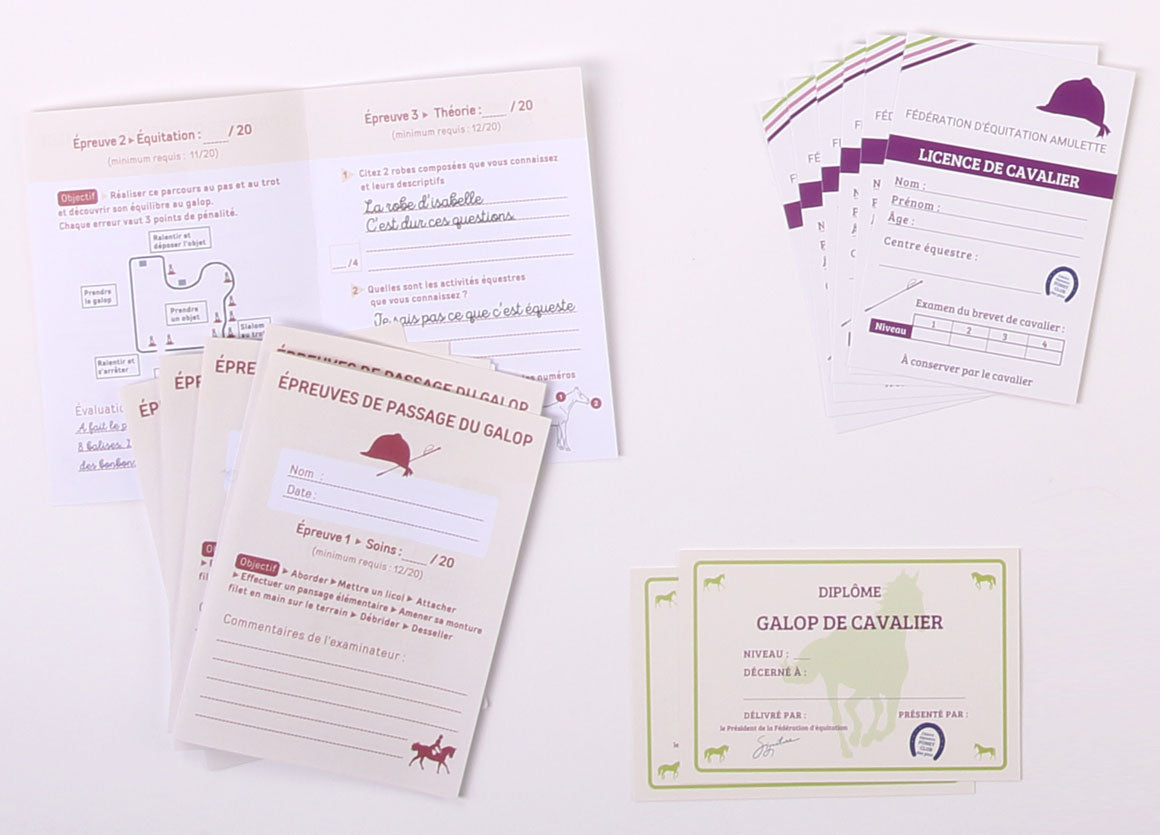 Coffret - Mon premier poney Club-Amulette-Super Châtaigne-Imitation : Product type