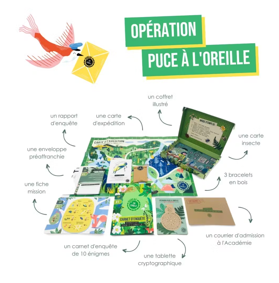 Jeu d'enquête - La nature et les insectes-Jaune citron-Super Châtaigne-Jeux de société : Product type