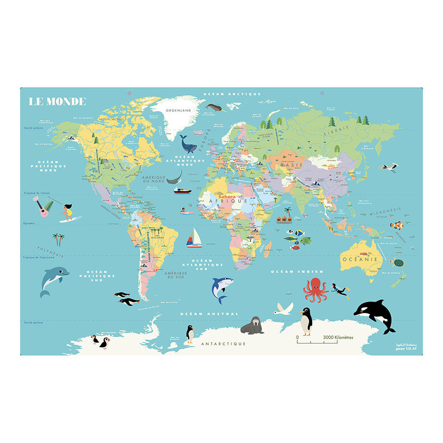 Jeu magnétique | Carte du monde-Vilac-Super Châtaigne-Jeux éducatifs : Product type