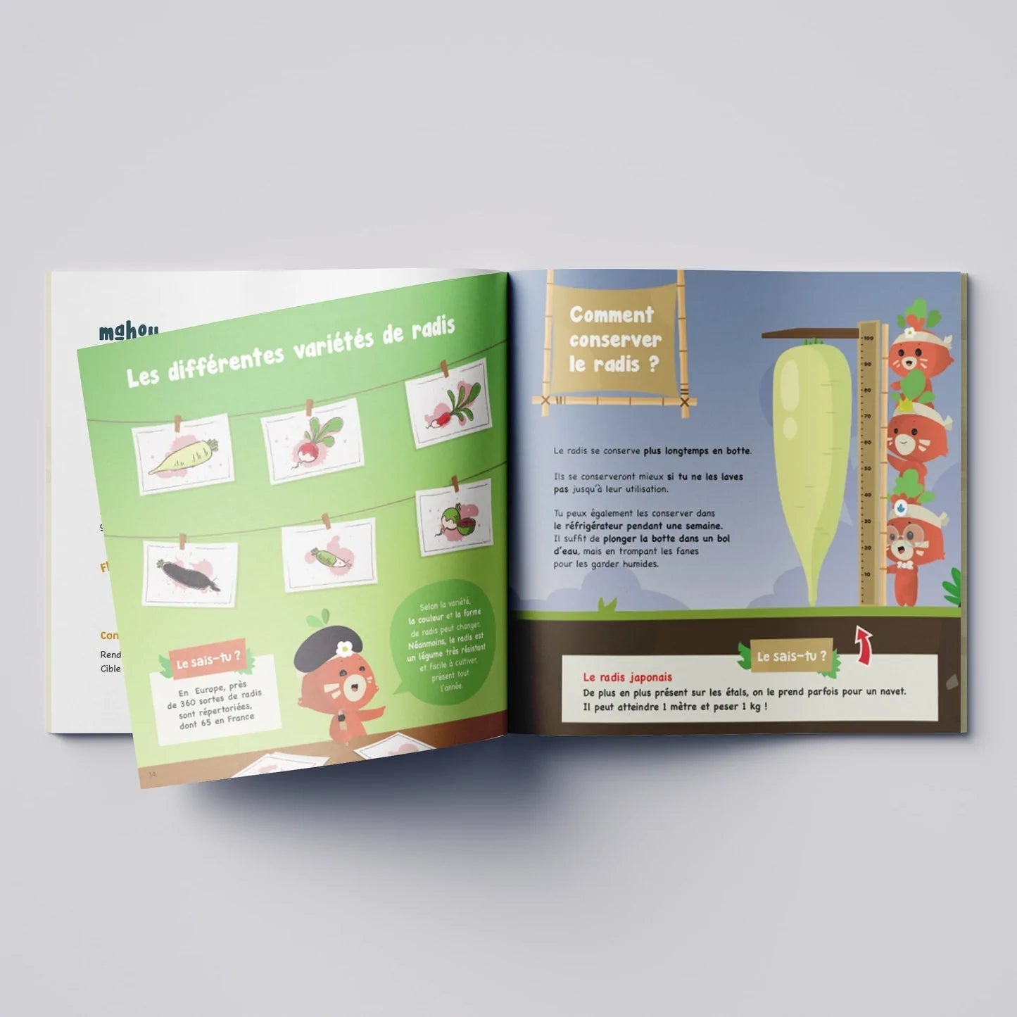Le kit radis-Botaki-Super Châtaigne-Cuisine et Jardinage : Product type