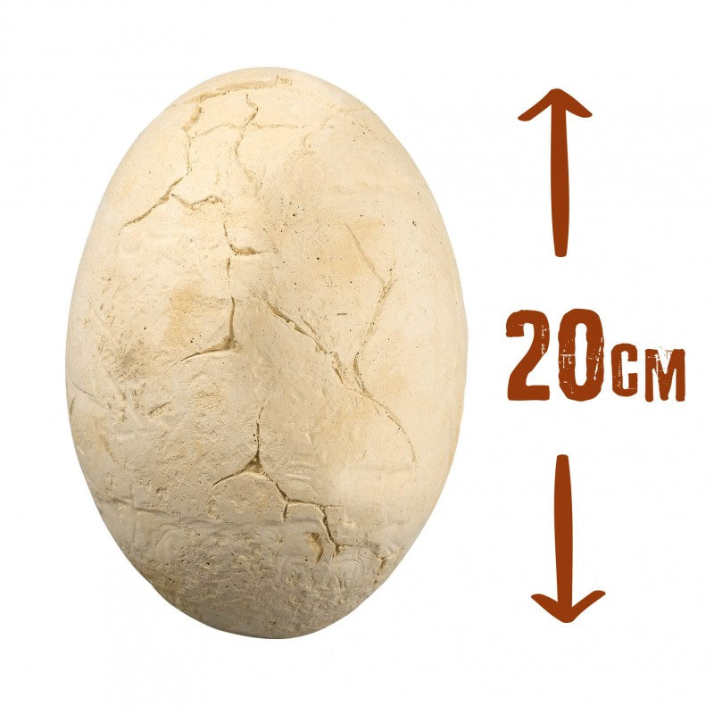 Mega oeuf Dino-Buki-Super Châtaigne-Jeux éducatifs : Product type
