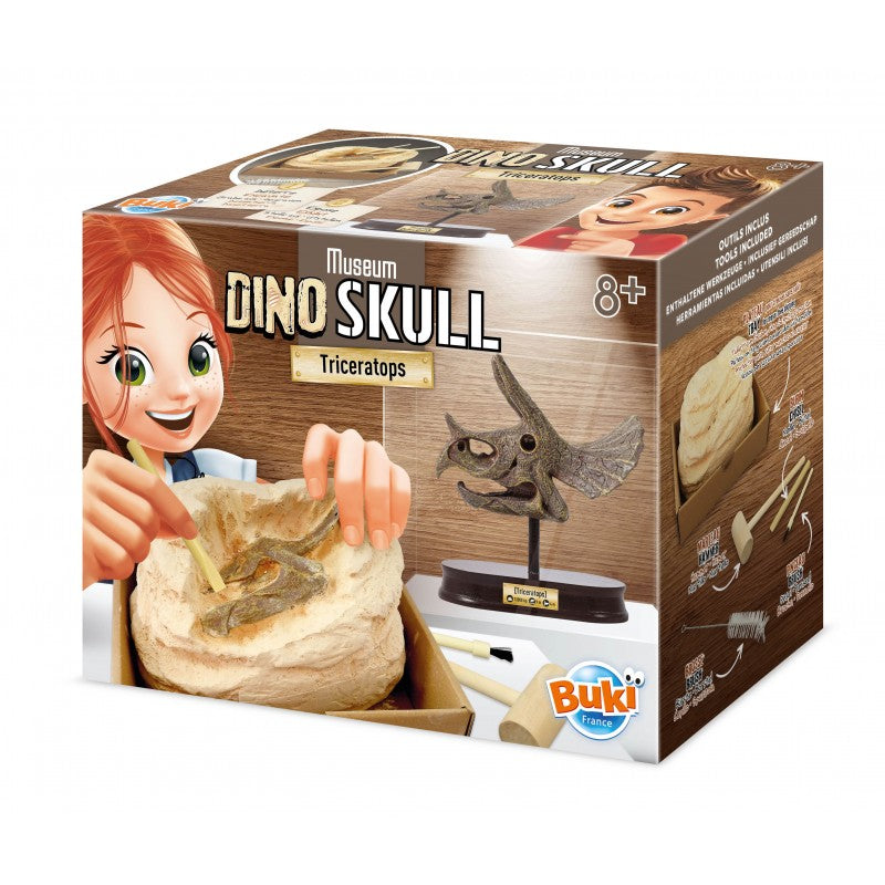 Museum Skull Tricératops-Buki-Super Châtaigne-Jeux éducatifs : Product type