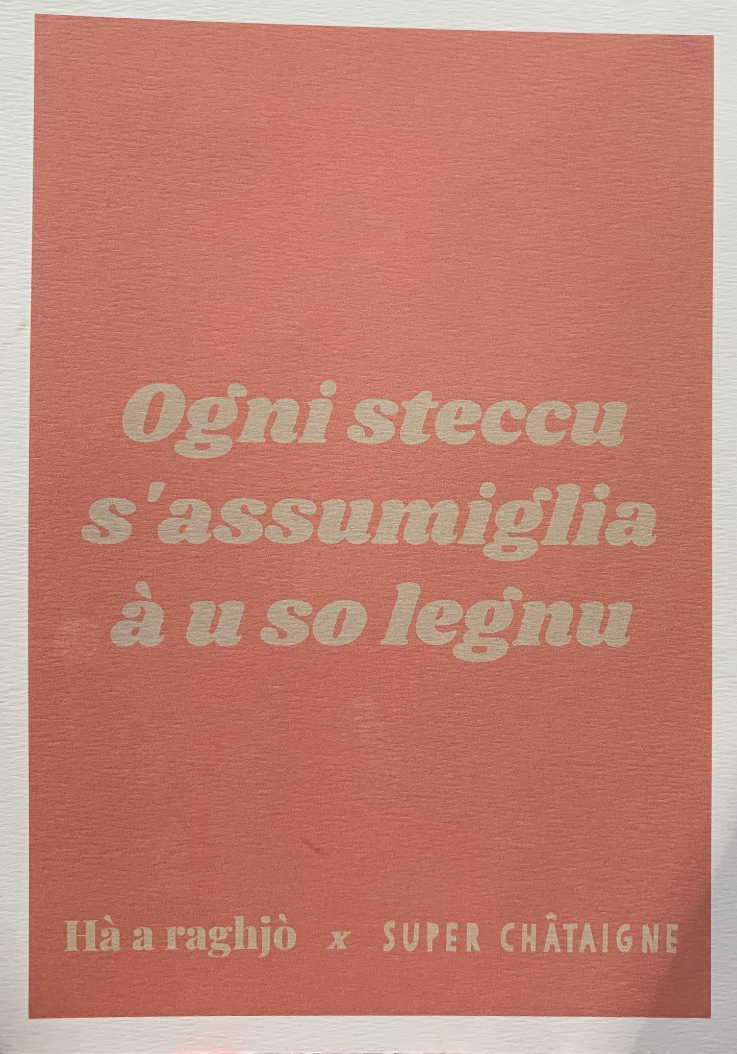 Ogni steccu s'assumiglia à u so legnu - Hà a raghjò-Hà a raghjò x Super Châtaigne-Super Châtaigne-affiche : Product type