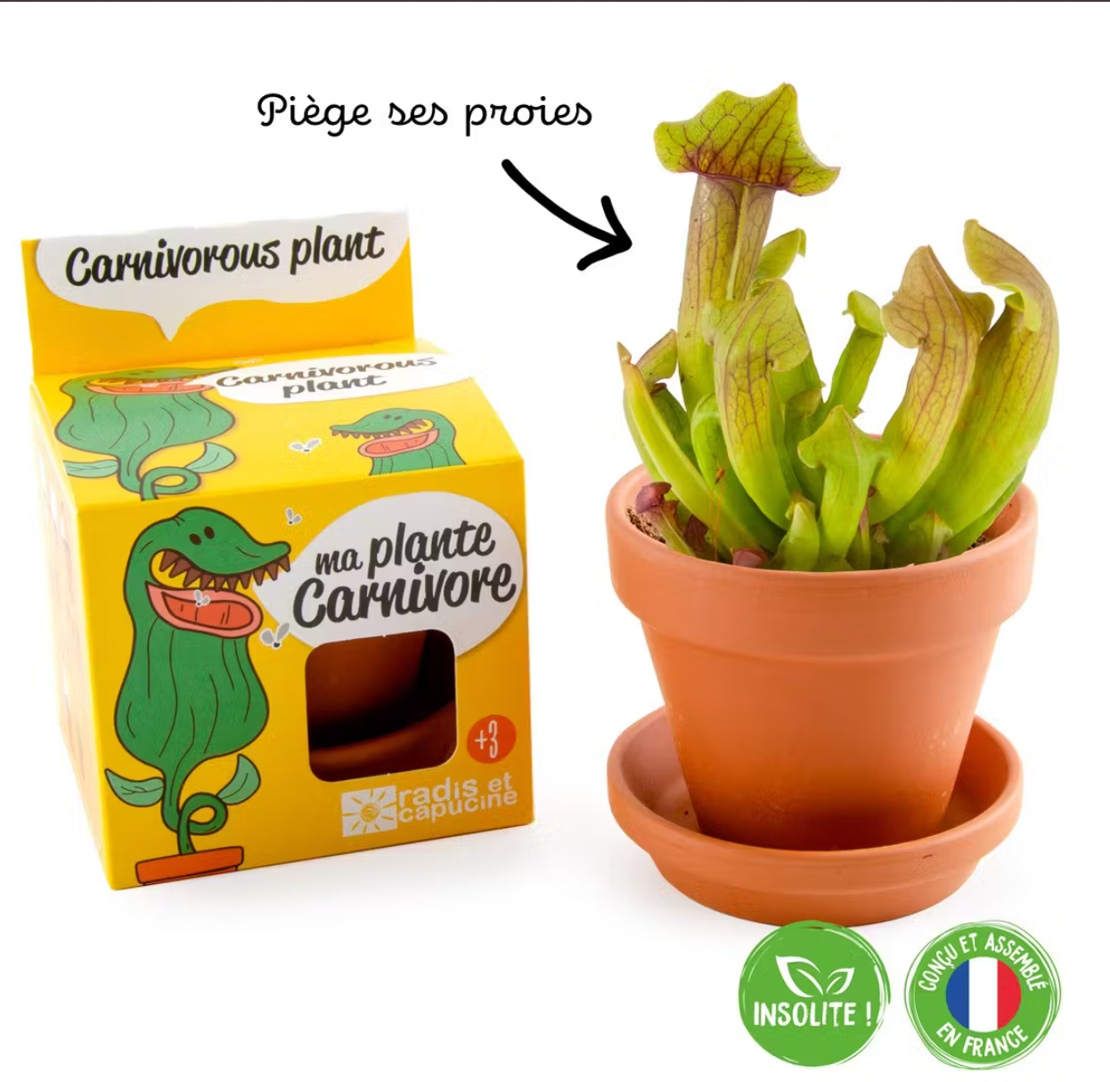 Plante carnivore à faire pousser !-Radis et capucine-Super Châtaigne-Cuisine et Jardinage : Product type