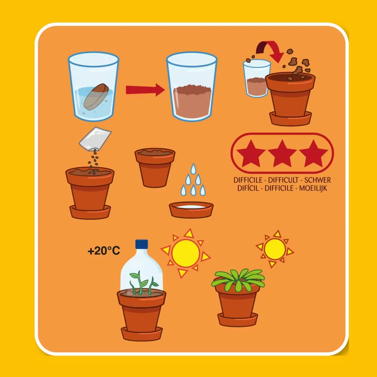 Plante carnivore à faire pousser !-Radis et capucine-Super Châtaigne-Cuisine et Jardinage : Product type