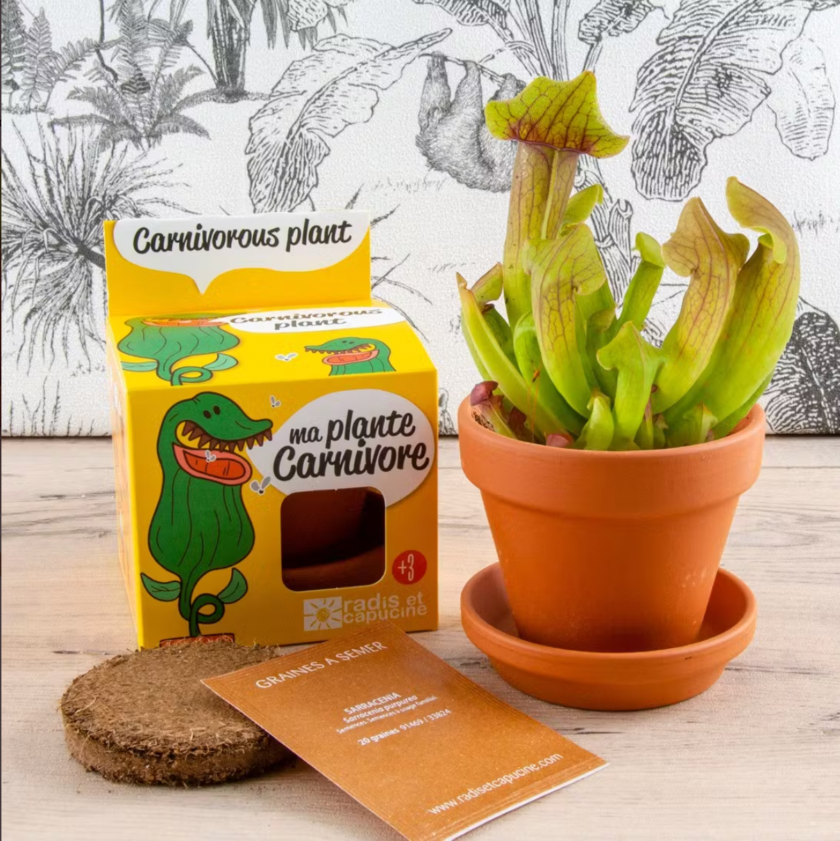 Plante carnivore à faire pousser !-Radis et capucine-Super Châtaigne-Cuisine et Jardinage : Product type