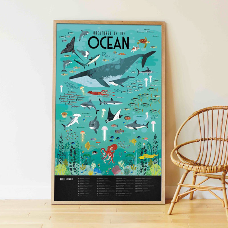 Poster pédagogique - Océans-Poppik-Super Châtaigne-Collages & Coloriages : Product type