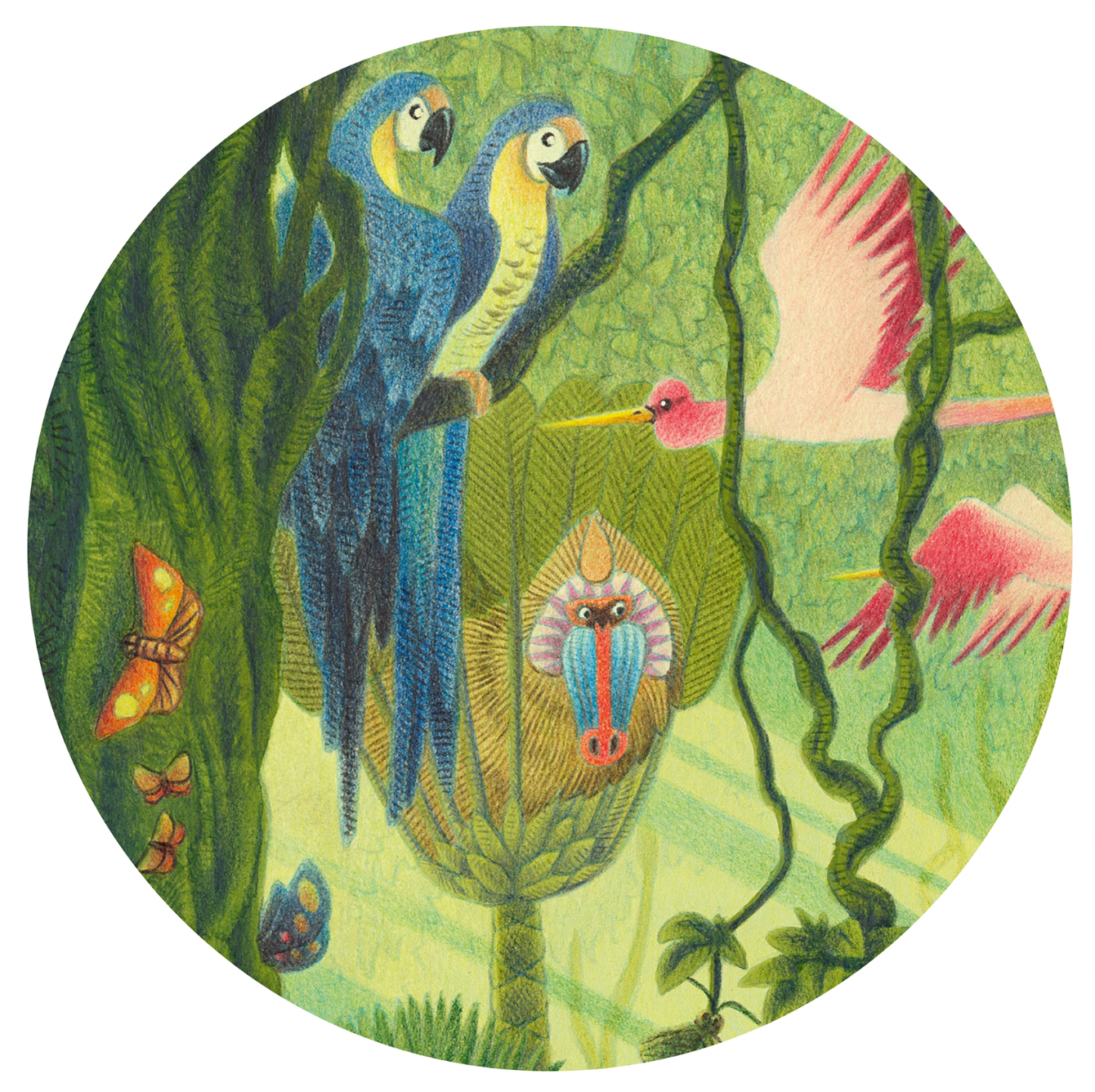 Puzzle 54 pièces - Dans la jungle-Djeco-Super Châtaigne-Puzzle : Product type