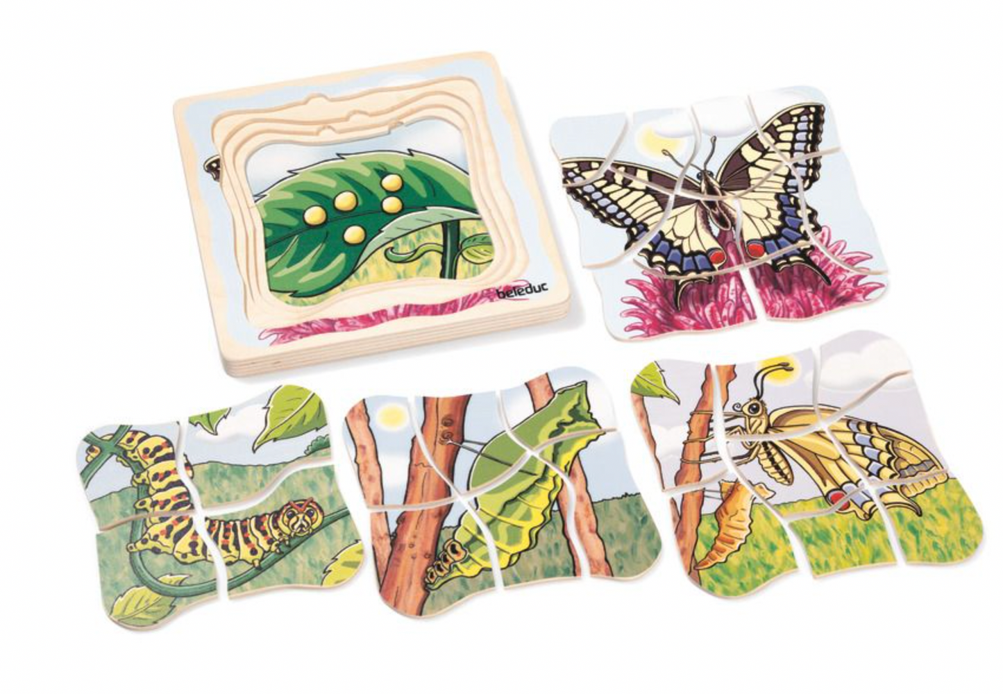 Puzzle multicouches cycle de vie - Papillon-Beleduc-Super Châtaigne-Puzzle : Product type