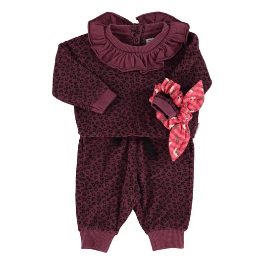 Jogging Pant| Aubergine