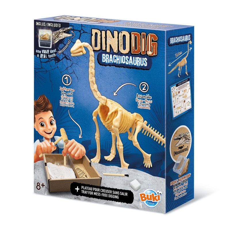 Dino-Dig | Brachiosaurus