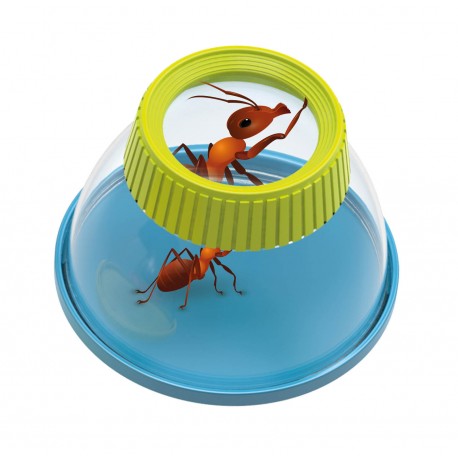 Mini Sciences | Insectoloupe