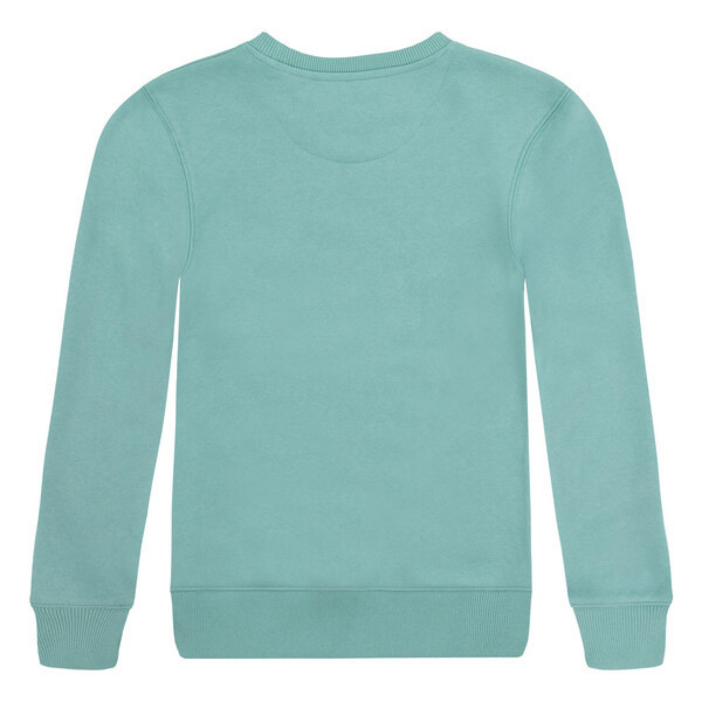 Sweat | Vert d'eau-Levi's-Super Châtaigne-Sweats, Pulls & Gilets : Product type