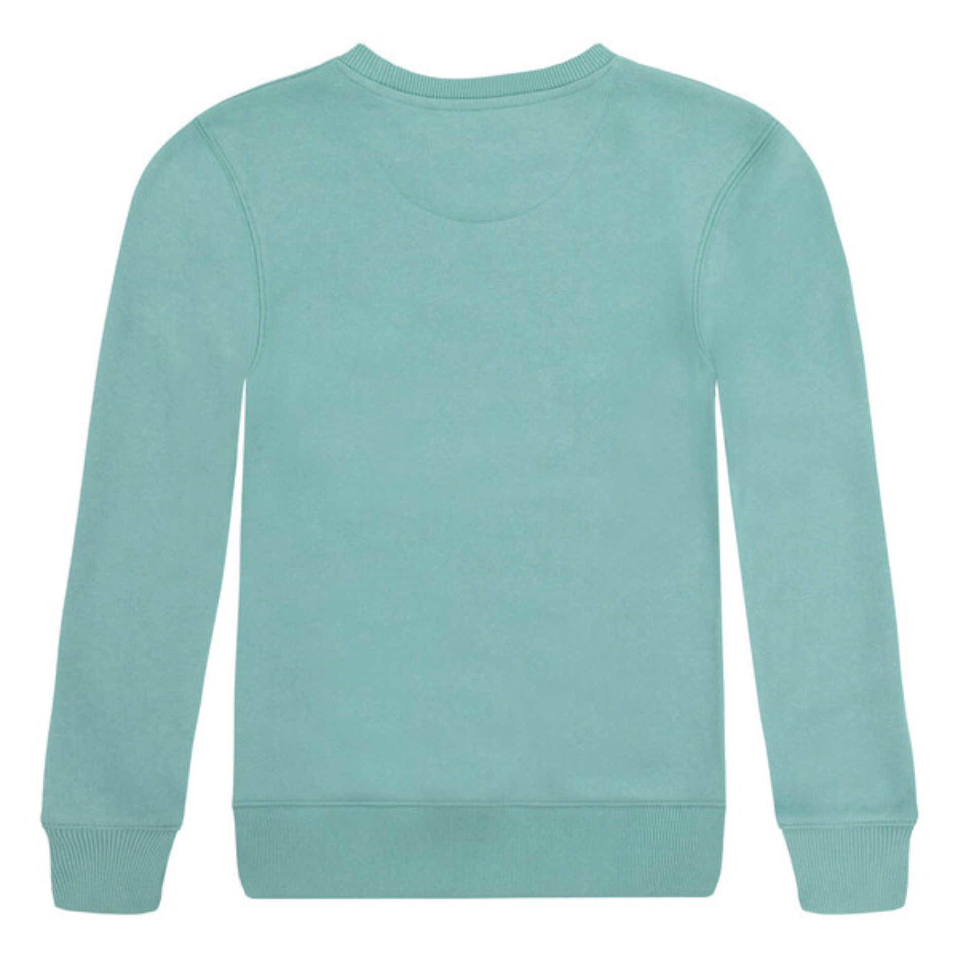 Sweat | Vert d'eau-Levi's-Super Châtaigne-Sweats, Pulls & Gilets : Product type