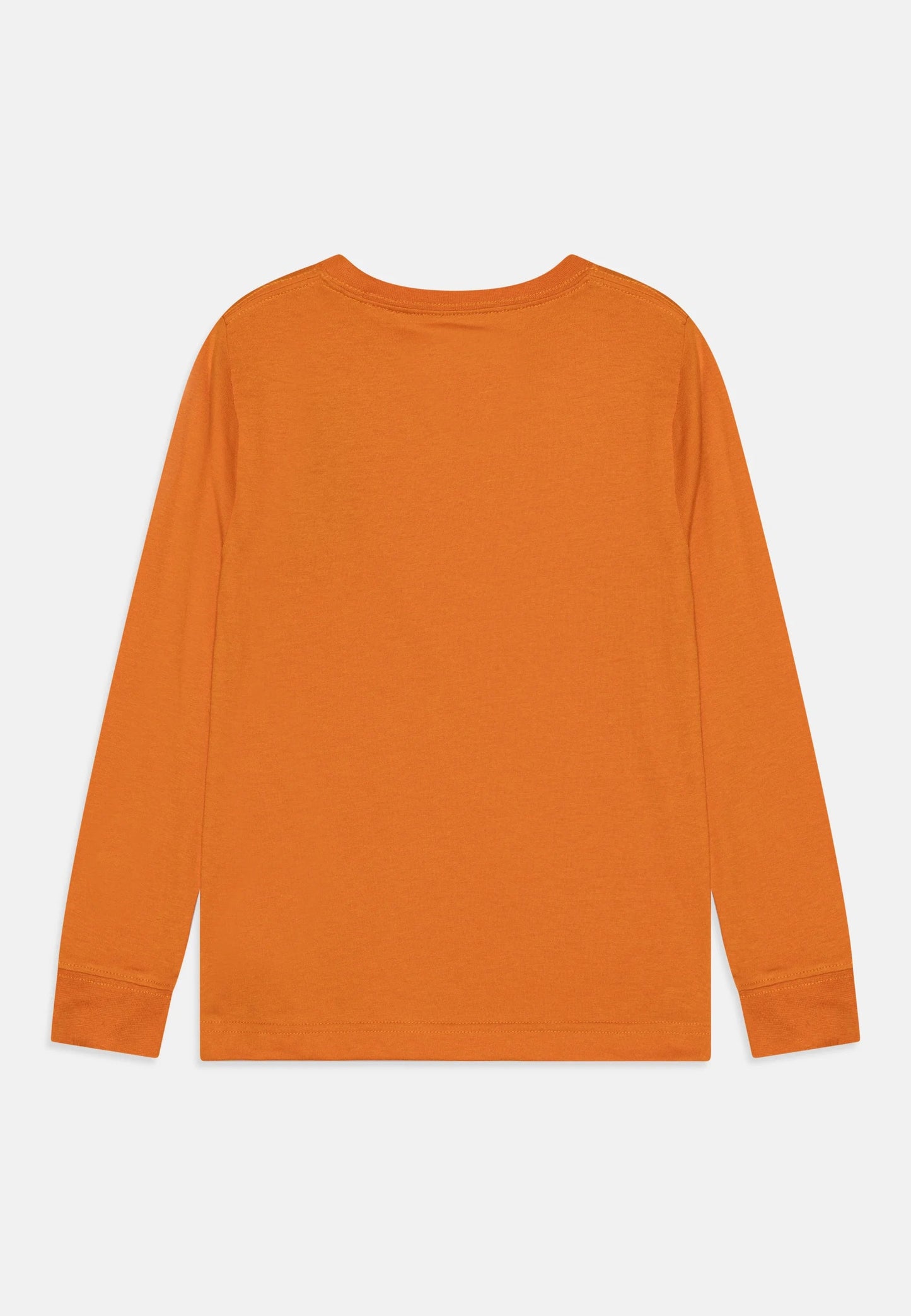 Tee-shirt manches longues | Desert sun-Levi's-Super Châtaigne-tee-shirt : Product type