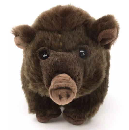Peluche | Sanglier