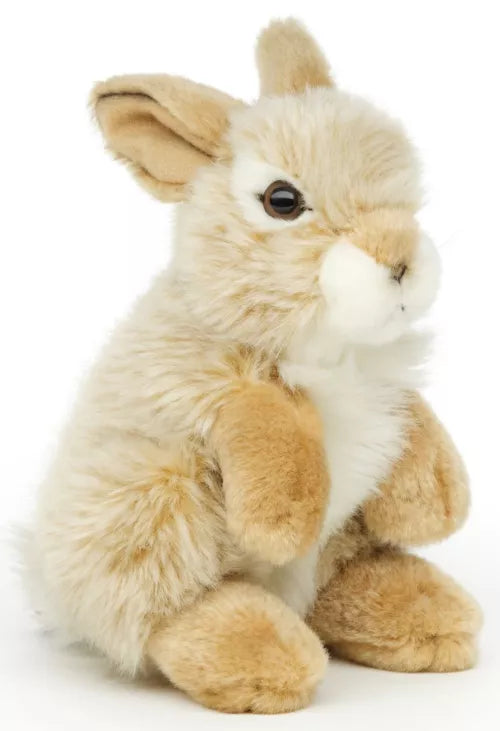 Peluche | Lapin beige