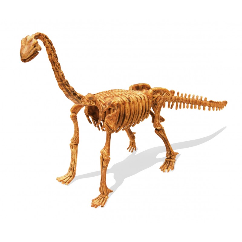 DinoKit - Brachiosaure-Buki-Super Châtaigne-Création & Fabrication : Product type
