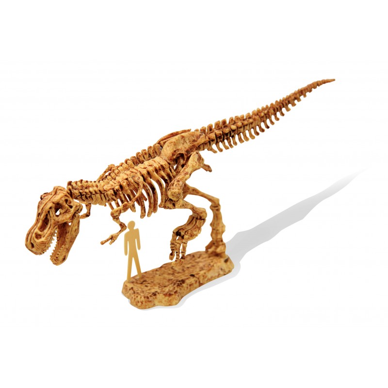 DinoKit - Tyrannosaurus-Buki-Super Châtaigne-Création & Fabrication : Product type