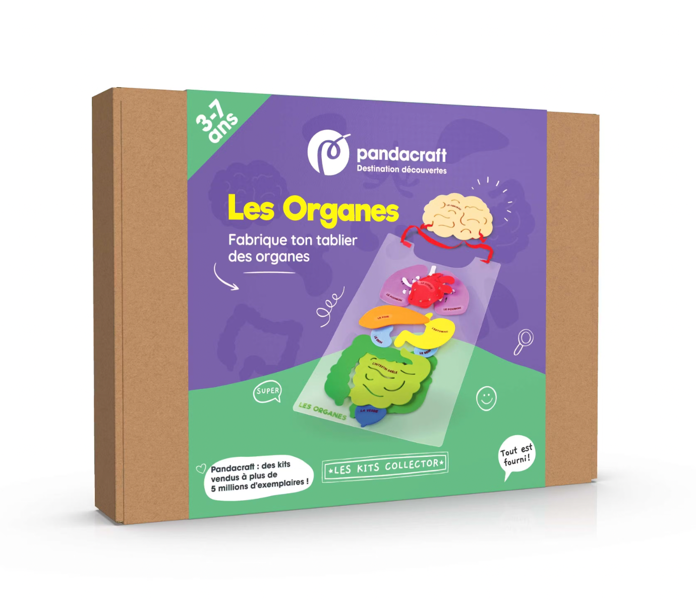 Kit éducatif & créatif - Les organes-Pandacraft-Super Châtaigne-Création & Fabrication : Product type