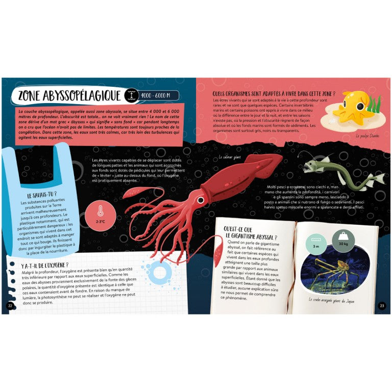 Le coffret du mega Atlas de la mer-Sassi-Super Châtaigne-Jeux éducatifs : Product type