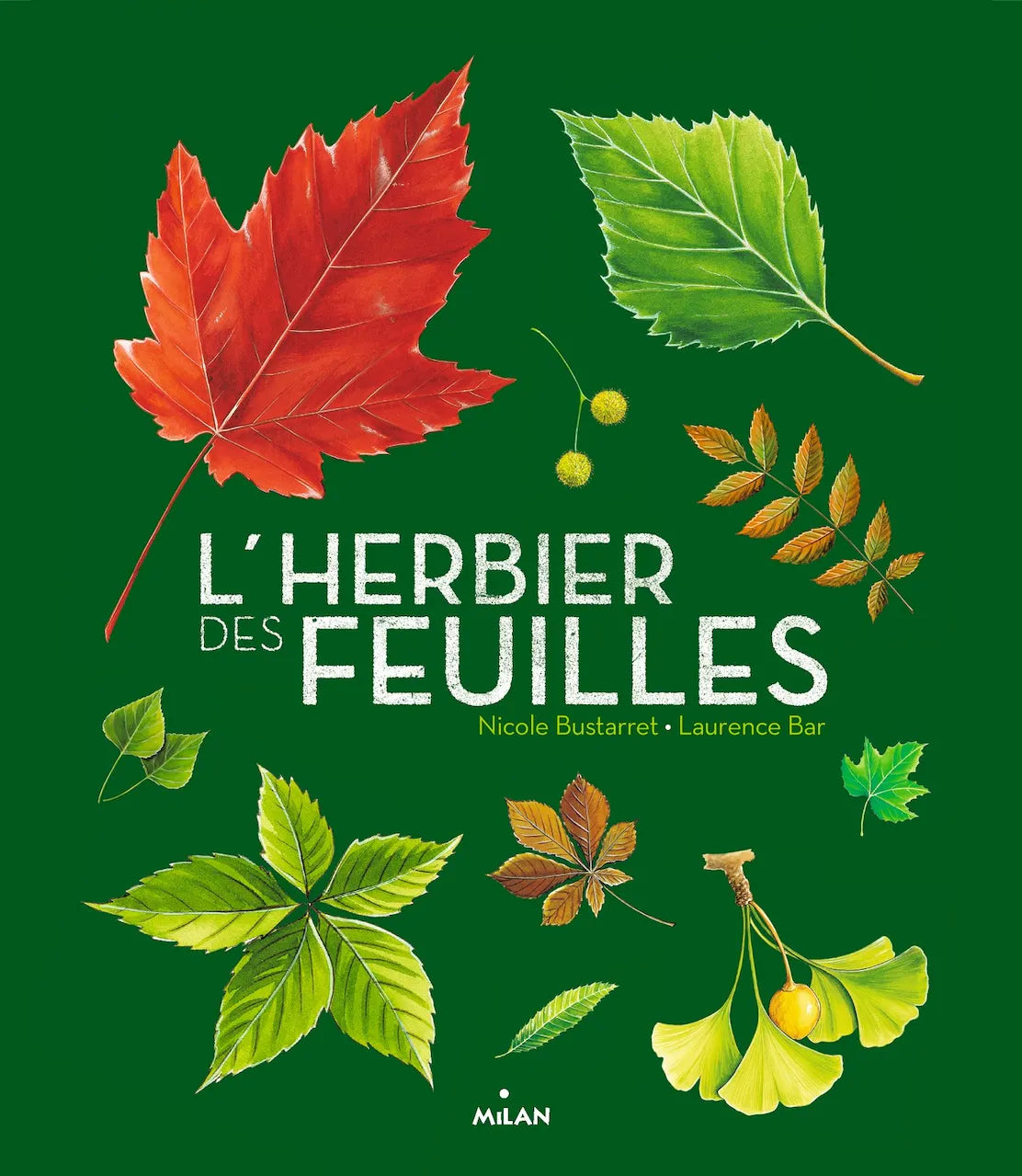 Livre d'activités - L'herbier des feuilles-Milan-Super Châtaigne-Livres & Cie : Product type
