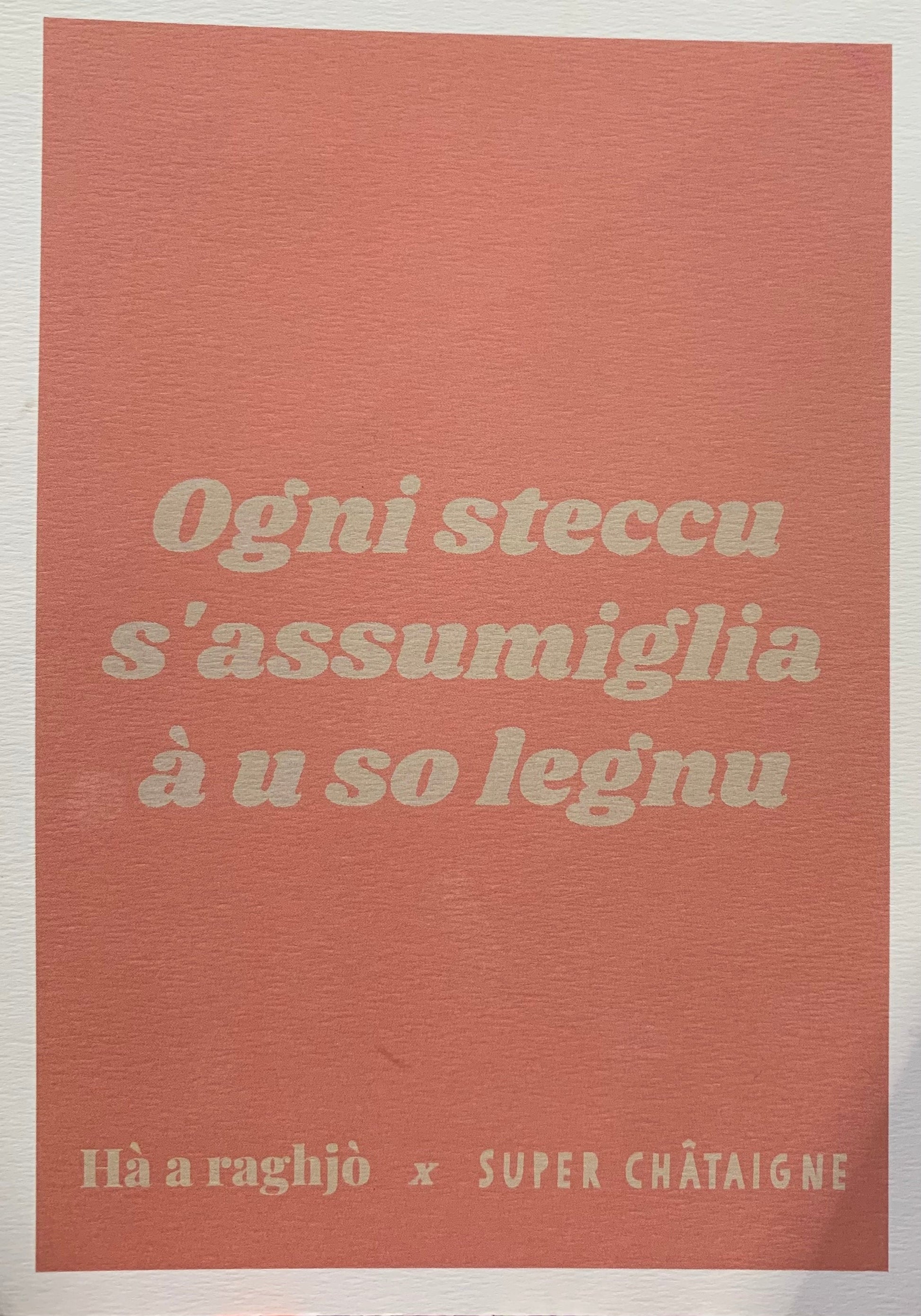 Ogni steccu s'assumiglia à u so legnu - Hà a raghjò-Hà a raghjò x Super Châtaigne-Super Châtaigne-affiche : Product type
