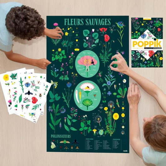 Poster et stickers - botanique-Poppik-Super Châtaigne-Collages & Coloriages : Product type
