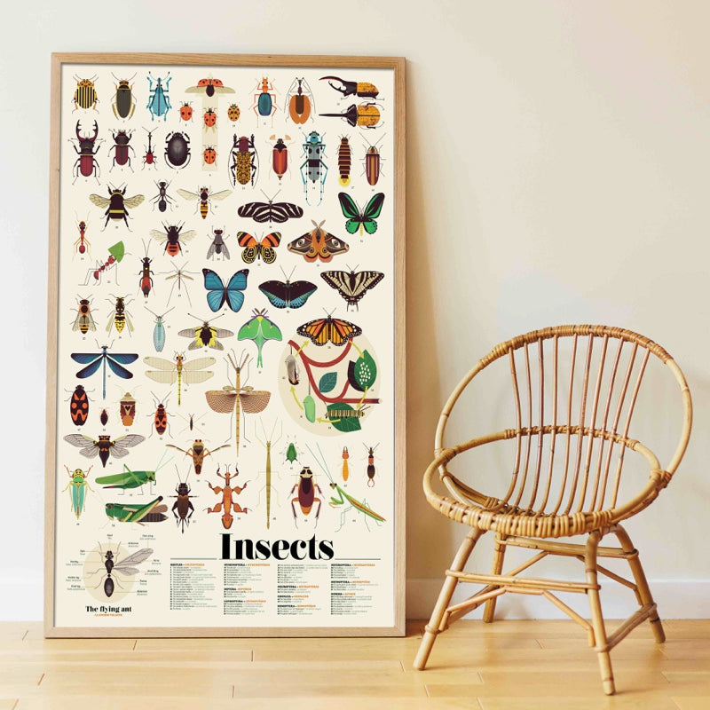 Poster géant et 44 stickers - Insectes-Poppik-Super Châtaigne-Collages & Coloriages : Product type
