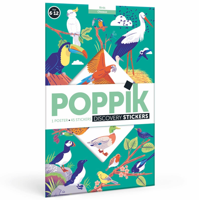 Poster pédagogique - Oiseaux-Poppik-Super Châtaigne-Collages & Coloriages : Product type