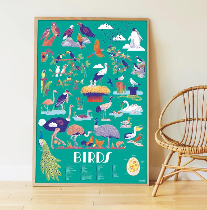 Poster pédagogique - Oiseaux-Poppik-Super Châtaigne-Collages & Coloriages : Product type