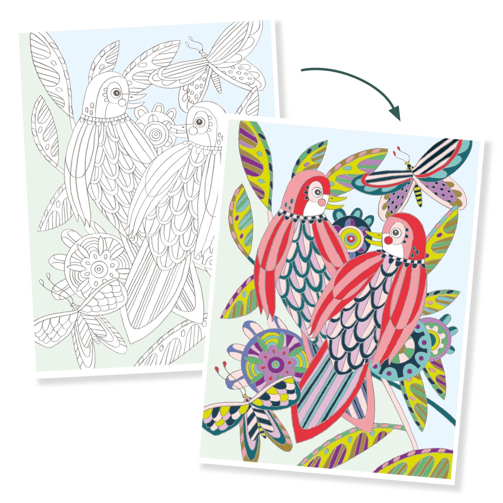 Posters à colorier | Oiseaux-Djeco-Super Châtaigne-Collages & Coloriages : Product type