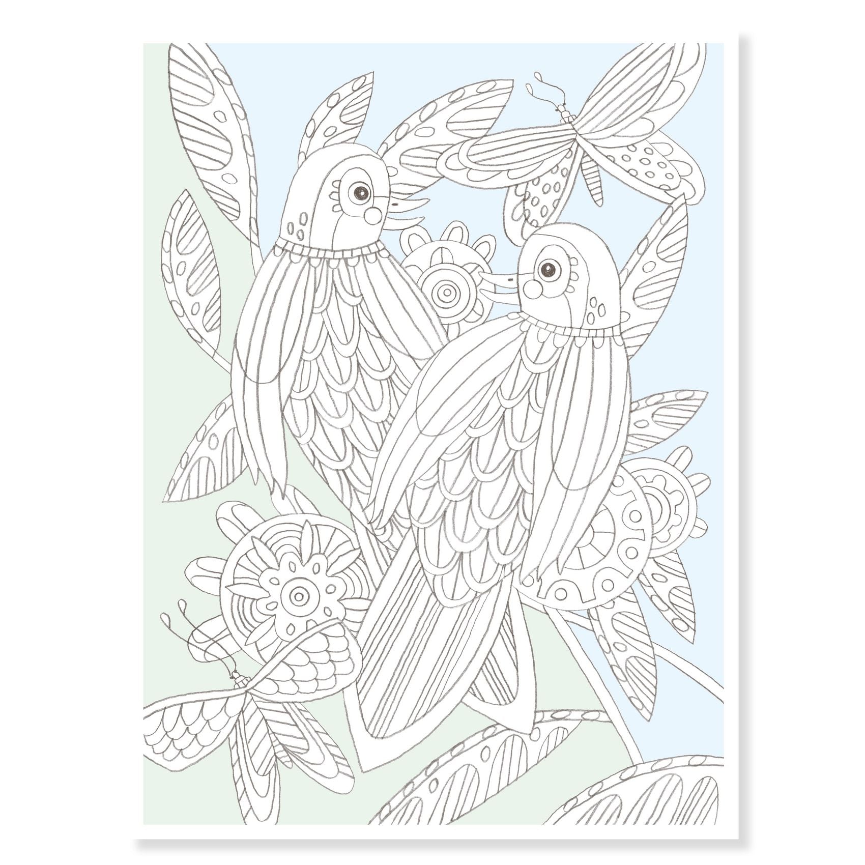 Posters à colorier | Oiseaux-Djeco-Super Châtaigne-Collages & Coloriages : Product type