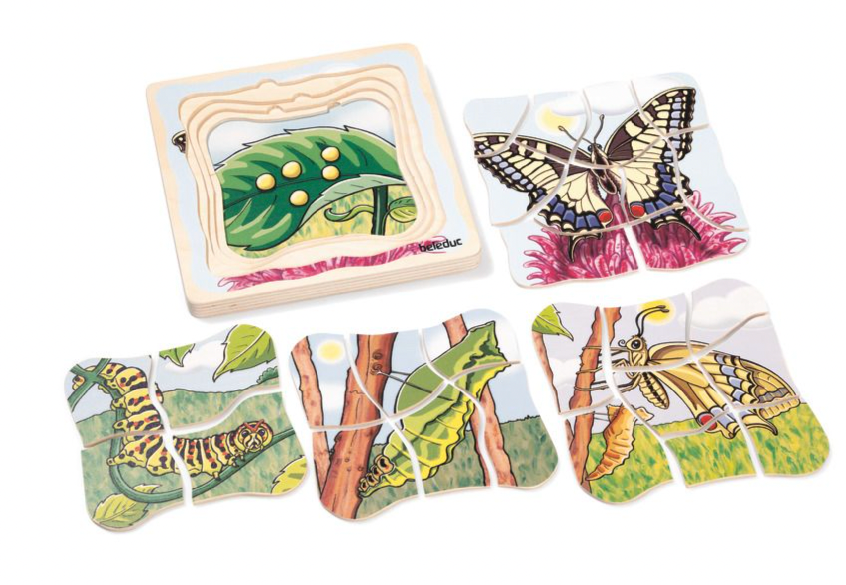 Puzzle multicouches cycle de vie - Papillon-Beleduc-Super Châtaigne-Puzzle : Product type