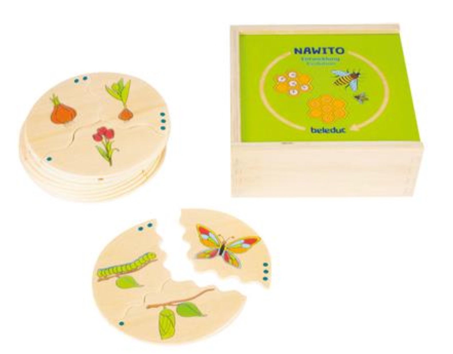 Puzzle Nawito - Evolution-Beleduc-Super Châtaigne-Jeux et jouets : Product type