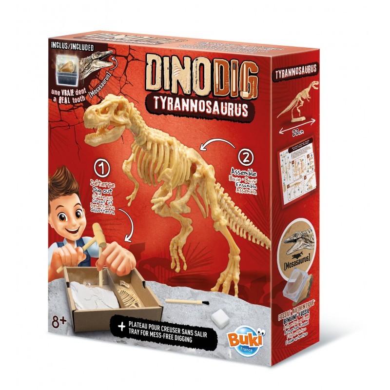 Dino-Dig | Tyrannosaurus