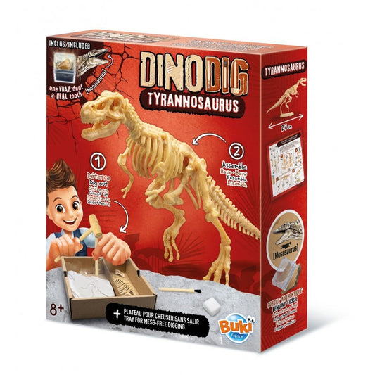 Dino-Dig | Tyrannosaurus