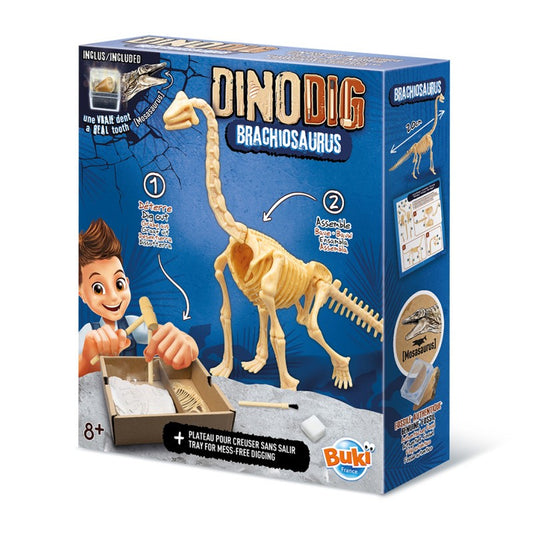 Dino-Dig | Brachiosaurus