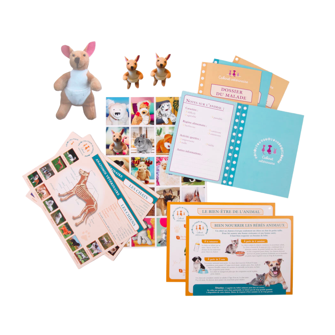 Si j'étais vétérinaire | Boîte jeu d'imitation-Amulette-Super Châtaigne-Jeux éducatifs : Product type