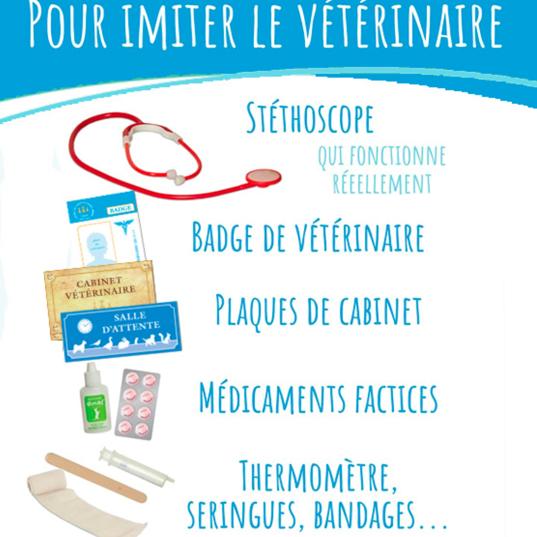 Si j'étais vétérinaire | Boîte jeu d'imitation-Amulette-Super Châtaigne-Jeux éducatifs : Product type